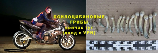a pvp Баксан