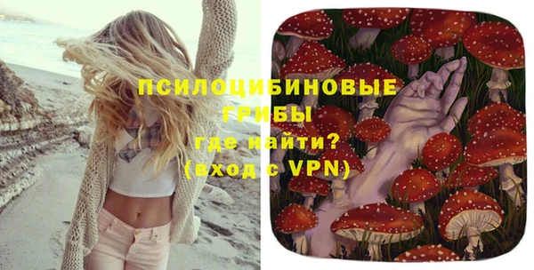 молекула духа Медвежьегорск