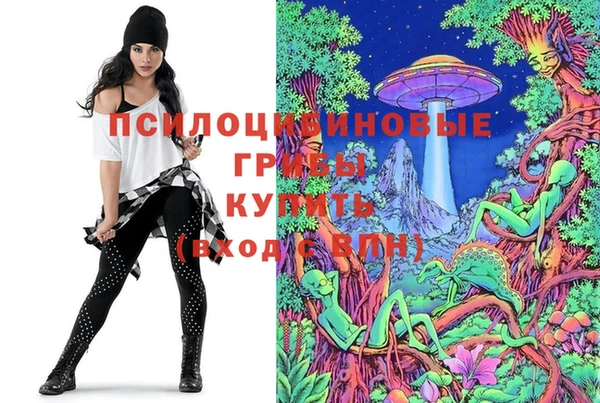 молекула духа Медвежьегорск