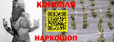 прущие крисы Аргун