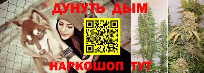 прущие крисы Аргун
