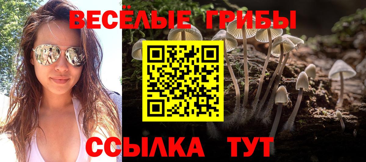 Галлюциногенные грибы Cubensis Белорецк