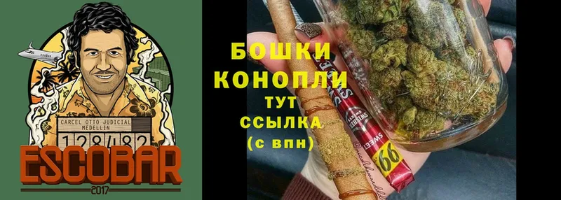 Шишки марихуана марихуана  Белорецк 